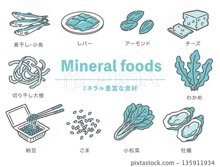 一組富含礦物質(鐵、鈣、鋅)的食物插圖 一組富含礦物質(鐵、鈣、鋅)的食物插圖 135911934