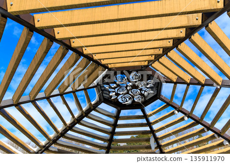 Winter scenery of Gifu World Rose Garden with snow still remaining on the rose-decorated roof and blue sky 135911970