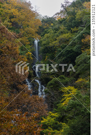 Jokiyo Falls and autumn leaves in Sakuki-cho, Miyoshi City, Hiroshima Prefecture, Japan Jokiyo Falls and autumn leaves in Sakuki-cho, Miyoshi City, Hiroshima Prefecture, Japan 135912121