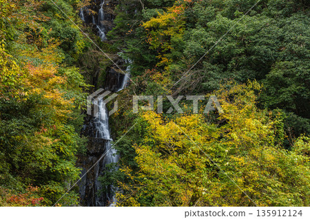 Jokiyo Falls and autumn leaves in Sakuki-cho, Miyoshi City, Hiroshima Prefecture, Japan Jokiyo Falls and autumn leaves in Sakuki-cho, Miyoshi City, Hiroshima Prefecture, Japan 135912124