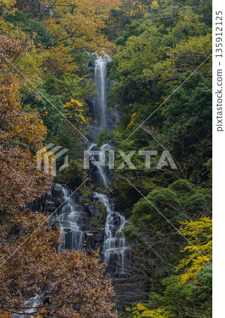 日本廣島縣三好市佐久木町的上清瀑布和秋葉 135912125