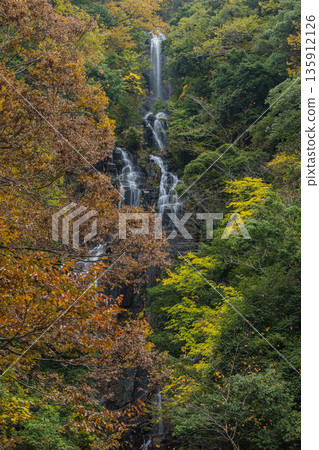 Jokiyo Falls and autumn leaves in Sakuki-cho, Miyoshi City, Hiroshima Prefecture, Japan Jokiyo Falls and autumn leaves in Sakuki-cho, Miyoshi City, Hiroshima Prefecture, Japan 135912126