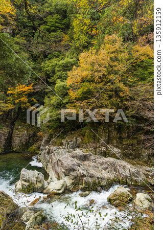 Rock walls and autumn foliage along the river at Sandankyo Gorge, a gorge in Akiota Town, Yamagata County, Hiroshima Prefecture, Japan 135912159