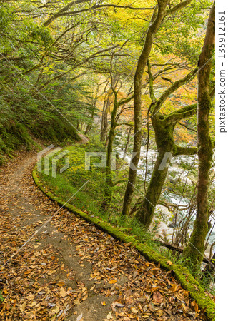 Japan: Riverside promenade and autumn leaves at Sandankyo Gorge, a gorge in Akiota Town, Yamagata County, Hiroshima Prefecture 135912161