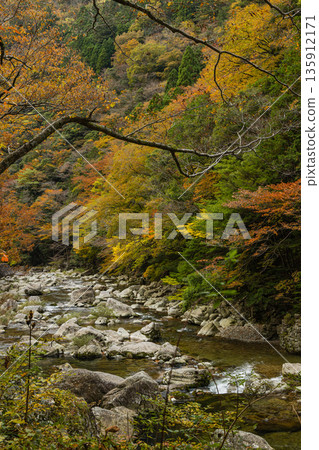 Rock walls and autumn foliage along the river at Sandankyo Gorge, a gorge in Akiota Town, Yamagata County, Hiroshima Prefecture, Japan Rock walls and autumn foliage along the river at Sandankyo Gorge, a gorge in Akiota Town, Yamagata County, Hiroshima Prefecture, Japan 135912171