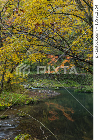Autumn leaves along the Taishaku River in Kami-Taishaku, Taishaku Gorge, Tojo-cho, Shobara City, Hiroshima Prefecture, Japan Autumn leaves along the Taishaku River in Kami-Taishaku, Taishaku Gorge, Tojo-cho, Shobara City, Hiroshima Prefecture, Japan 135912554