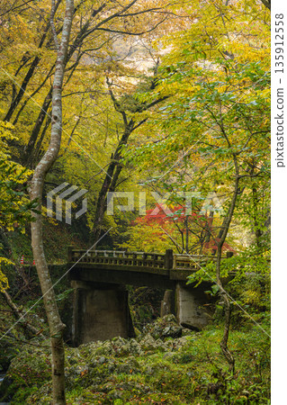 日本廣島縣莊原市東城町太釋峽谷上太釋河沿岸的秋葉 135912558