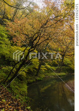 Autumn leaves along the Taishaku River in Kami-Taishaku, Taishaku Gorge, Tojo-cho, Shobara City, Hiroshima Prefecture, Japan Autumn leaves along the Taishaku River in Kami-Taishaku, Taishaku Gorge, Tojo-cho, Shobara City, Hiroshima Prefecture, Japan 135912571