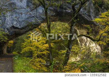 Japan, Taishaku Gorge in Tojo-cho, Shobara City, Hiroshima Prefecture, Japan. The natural bridge, Obashi Bridge, and autumn leaves at Kami-Taishaku. Japan, Taishaku Gorge in Tojo-cho, Shobara City, Hiroshima Prefecture, Japan. The natural bridge, Obashi Bridge, and autumn leaves at Kami-Taishaku. 135912582