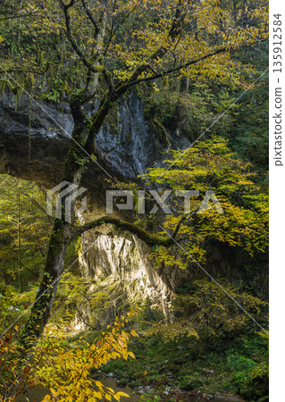 日本,廣島縣莊原市東上町大尺峽。天然橋、大橋和上大尺的秋葉。 日本,廣島縣莊原市東上町大尺峽。天然橋、大橋和上大尺的秋葉。 135912584