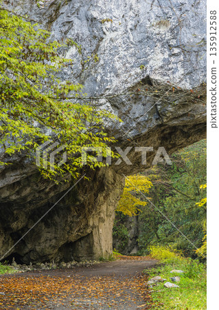 Japan, Taishaku Gorge in Tojo-cho, Shobara City, Hiroshima Prefecture, Japan. The natural bridge, Obashi Bridge, and autumn leaves at Kami-Taishaku. Japan, Taishaku Gorge in Tojo-cho, Shobara City, Hiroshima Prefecture, Japan. The natural bridge, Obashi Bridge, and autumn leaves at Kami-Taishaku. 135912588