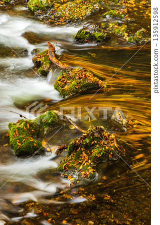 Autumn leaves along the Taishaku River in Kami-Taishaku, Taishaku Gorge, Tojo-cho, Shobara City, Hiroshima Prefecture, Japan 135912598
