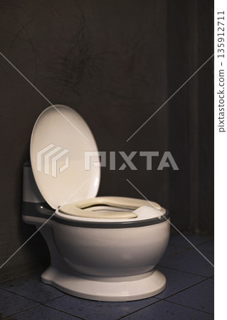 Toddler Toilet Pot On Bedroom Floor, A candid photo of toddler toilet pot on bedroom, plastic seat with soft toys nearby in gentle morning light, for potty training or gentle parenting documentary. 135912711