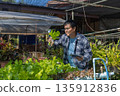Man farmer checking of organic Organic vegetables freshly harvested from a farm.  135912836