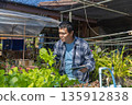 Man farmer checking of organic Organic vegetables freshly harvested from a farm.  135912838