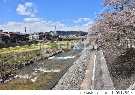 Takayama City, Gifu Prefecture, Japan: Cherry blossoms in full bloom and a beautiful blue sky; Miyagawa River and its banks, which serve as walkways; surrounding streets and houses 135912949