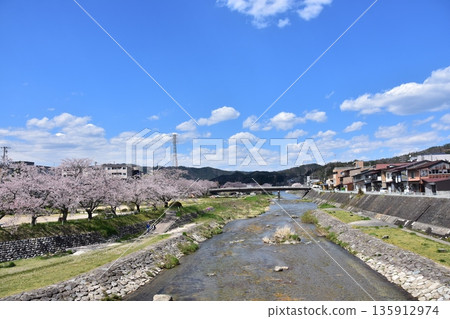 日本岐阜縣高山市：櫻花盛開，碧空如洗；宮川河及其兩岸是步道；周圍的街道和房屋。 135912974