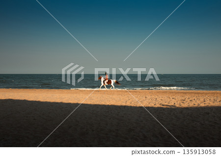 Horse Riding Service Along the Beach in Phetchaburi Horse Riding Service Along the Beach in Phetchaburi 135913058