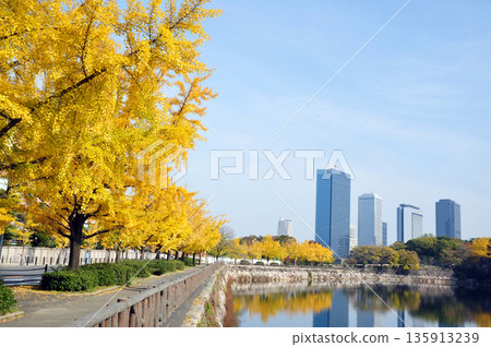 Osaka Castle outer moat and business park, colored by autumn leaves Osaka Castle outer moat and business park, colored by autumn leaves 135913239