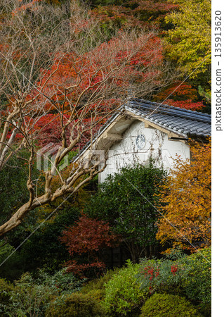 日本廣島縣莊原市東城町大石峽上大石的秋葉 135913620