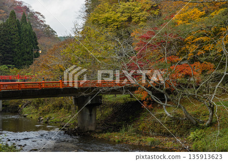 Autumn leaves along the Taishaku River in Kami-Taishaku, Taishaku Gorge, Tojo-cho, Shobara City, Hiroshima Prefecture, Japan 135913623
