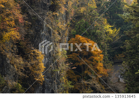Japan, Taishaku Gorge in Tojo-cho, Shobara City, Hiroshima Prefecture: Cliffs and autumn leaves along the Taishaku River in Kami-Taishaku Japan, Taishaku Gorge in Tojo-cho, Shobara City, Hiroshima Prefecture: Cliffs and autumn leaves along the Taishaku River in Kami-Taishaku 135913645