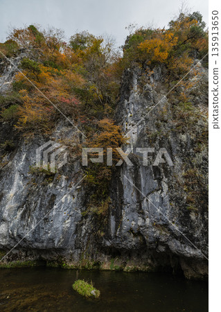 Japan, Taishaku Gorge in Tojo-cho, Shobara City, Hiroshima Prefecture: Cliffs and autumn leaves along the Taishaku River in Kami-Taishaku 135913650