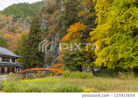 Autumn leaves along the Taishaku River in Kami-Taishaku, Taishaku Gorge, Tojo-cho, Shobara City, Hiroshima Prefecture, Japan Autumn leaves along the Taishaku River in Kami-Taishaku, Taishaku Gorge, Tojo-cho, Shobara City, Hiroshima Prefecture, Japan 135913659