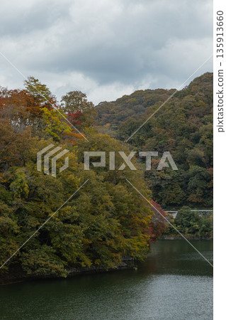 日本廣島縣莊原市東城町大石峽。神龍湖（水庫）和秋葉。 135913660