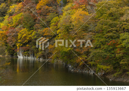 日本廣島縣莊原市東城町大石峽。神龍湖（水庫）和秋葉。 135913667
