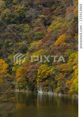 日本廣島縣莊原市東城町大石峽。神龍湖(水庫)和秋葉。 日本廣島縣莊原市東城町大石峽。神龍湖(水庫)和秋葉。 135913668