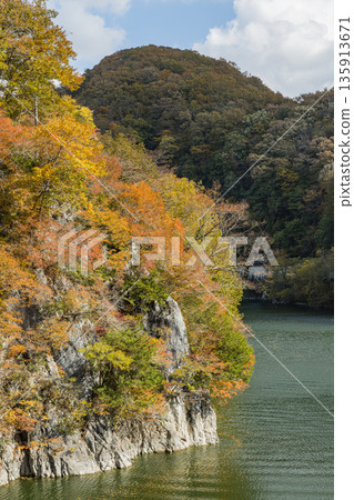 Taishakukyo Gorge in Tojocho, Shobara City, Hiroshima Prefecture, Japan. Lake Shinryu, a dam lake, and autumn foliage. 135913671