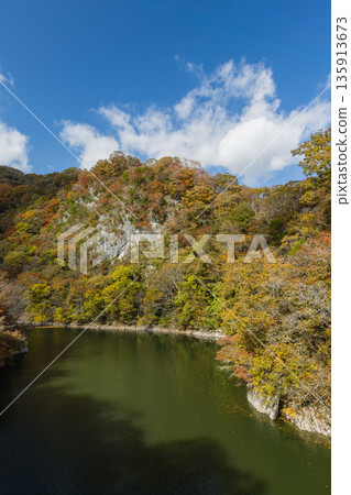 日本廣島縣莊原市東城町大石峽。神龍湖（水庫）和秋葉。 135913673