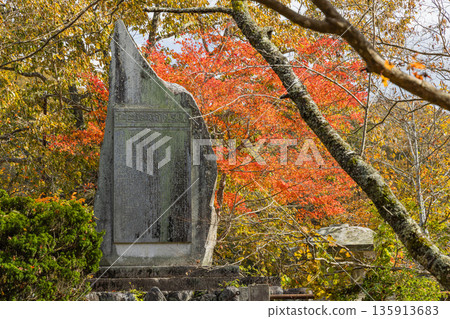 日本廣島縣莊原市東城町大石峽。神龍湖(水庫)和秋葉。 日本廣島縣莊原市東城町大石峽。神龍湖(水庫)和秋葉。 135913683