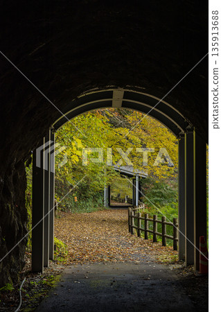 日本廣島縣莊原市東條町大石峽水壩湖新龍湖的秋葉 日本廣島縣莊原市東條町大石峽水壩湖新龍湖的秋葉 135913688