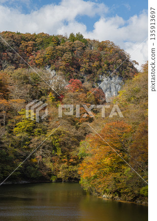 日本廣島縣莊原市東城町大石峽。神龍湖（水庫）和秋葉。 135913697