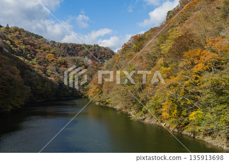 Taishakukyo Gorge in Tojocho, Shobara City, Hiroshima Prefecture, Japan. Lake Shinryu, a dam lake, and autumn foliage. 135913698