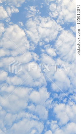 Scattered white clouds form a soft pattern across blue sky. Natural light creates even texture without strong contrast. Scattered white clouds form a soft pattern across blue sky. Natural light creates even texture without strong contrast. 135913875