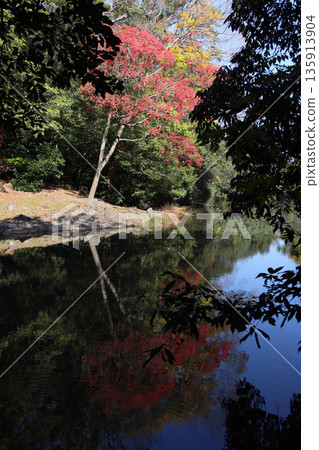 從栗林園南庭園的海仙岩上,可以俯瞰西湖,欣賞紫雲山腳下西湖湖畔蠟樹的秋葉美景。 從栗林園南庭園的海仙岩上,可以俯瞰西湖,欣賞紫雲山腳下西湖湖畔蠟樹的秋葉美景。 135913904