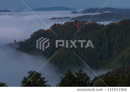 清晨,從日本岡山縣高橋市雲海展望台眺望備中松山城和雲海。 清晨,從日本岡山縣高橋市雲海展望台眺望備中松山城和雲海。 135913968