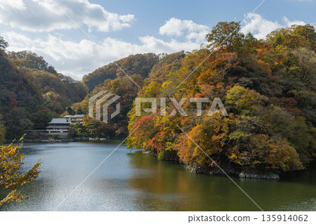 日本廣島縣莊原市東城町大石峽。神龍湖（水庫）和秋葉。 135914062