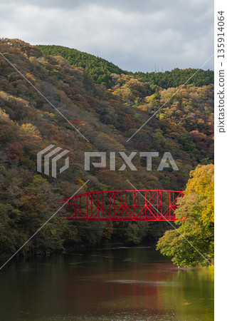 Taishaku Gorge in Tojocho, Shobara City, Hiroshima Prefecture, Japan. Shinryu Bridge over the Taishaku River flowing into Lake Shinryu and autumn leaves. Taishaku Gorge in Tojocho, Shobara City, Hiroshima Prefecture, Japan. Shinryu Bridge over the Taishaku River flowing into Lake Shinryu and autumn leaves. 135914064