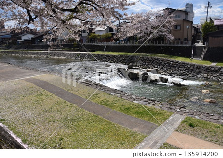 Takayama City, Gifu Prefecture, Japan: Cherry blossoms in full bloom and a beautiful blue sky; Miyagawa River and its banks, which serve as walkways; surrounding streets and houses Takayama City, Gifu Prefecture, Japan: Cherry blossoms in full bloom and a beautiful blue sky; Miyagawa River and its banks, which serve as walkways; surrounding streets and houses 135914200