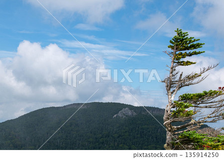 從小伏岳眺望三寶岳 135914250