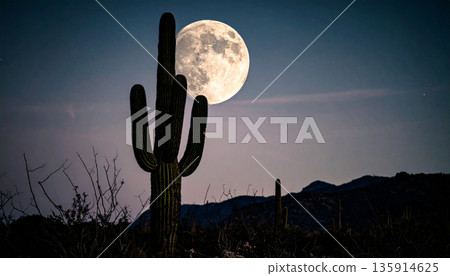 Moonrise Over Desert Cactus . Nature Concept. Generated Image 135914625