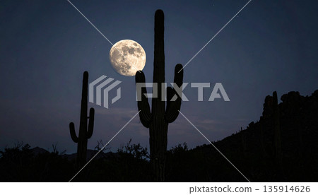 Moonrise Over Desert Cactus . Nature Concept. Generated Image 135914626