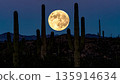 Moonrise Over Desert Cactus . Nature Concept. Generated Image 135914634