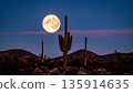 Moonrise Over Desert Cactus . Nature Concept. Generated Image 135914635