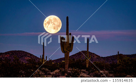 Moonrise Over Desert Cactus . Nature Concept. Generated Image 135914635