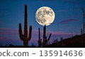 Moonrise Over Desert Cactus . Nature Concept. Generated Image 135914636